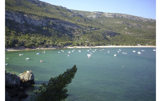 Setúbal aprova Plano de Acção para candidatura da Arrábida a Reserva da Biosfera