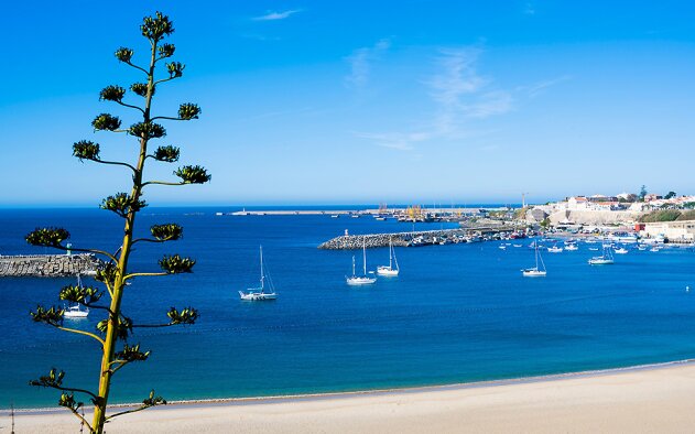 Sines abre candidaturas para apoiar famílias carenciadas no arrendamento
