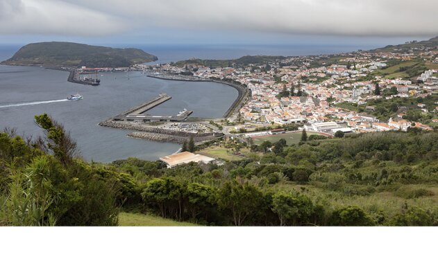 Açores: antigo matadouro do Faial vai a hasta pública