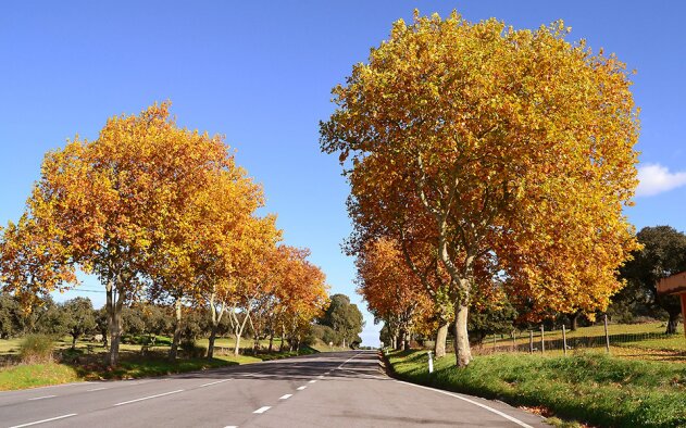 Alentejo: “A jóia escondida de Portugal para uma experiência de desintoxicação digital perfeita”