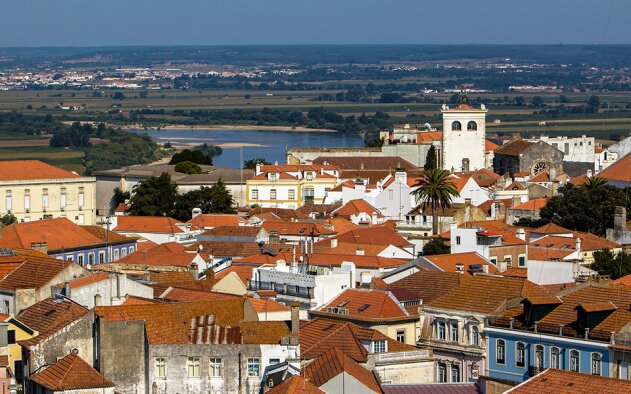 Câmara de Santarém investe na rearborização de espaços verdes da cidade