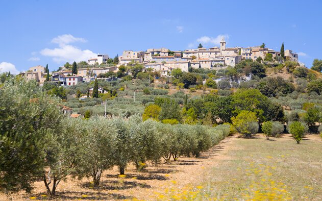 Presidente da Ordem dos Arquitectos agradado com regime de construção em solos rústicos