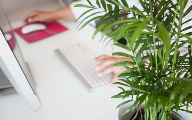 “Regresso ao essencial": A nova campanha da CBRE para combater isolamento dos trabalhadores