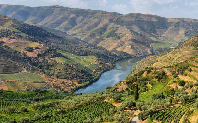Alto Douro Vinhateiro