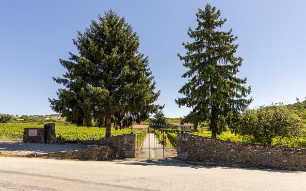 Costa Boal Family Estates promove enoturismo em Trás-os-Montes