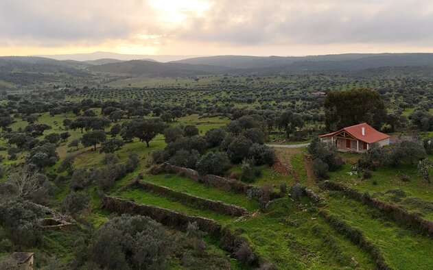 Fundação Terra Agora regenera 1.600 hectares de terrenos em Idanha-a-Velha