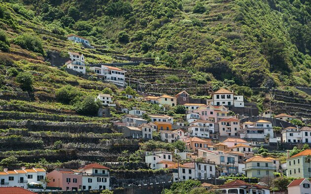 Diploma sobre construção em solos rústicos é «entorse» que pode provocar «lesões permanentes»... - diz a Zero